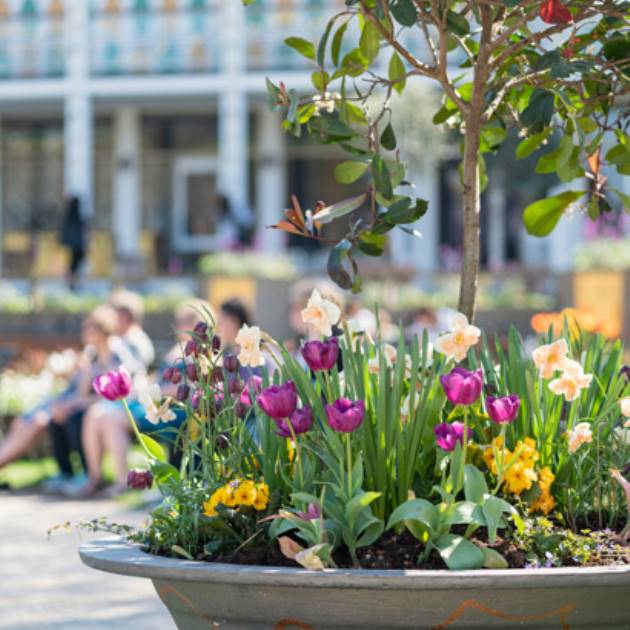 Haveanlaeg-KS_01_630x410